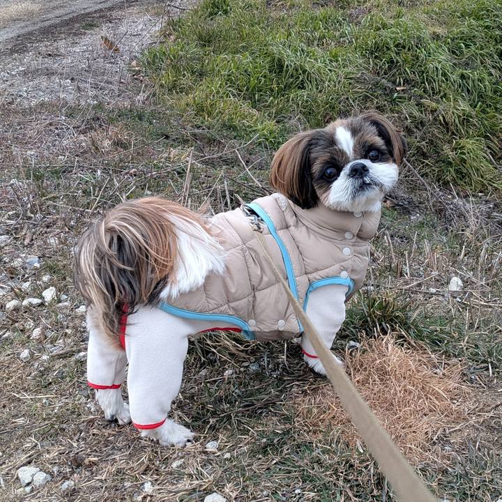 26748eac cbdb 412b 906b 3b1fc24d0ac2 1770456198177