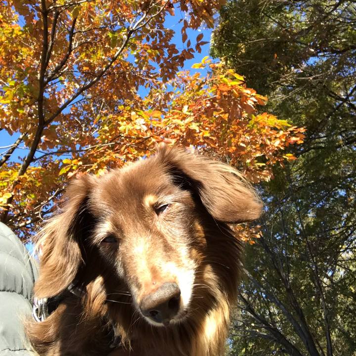 267491a8 ffe8 4cc1 8112 04996107ce6f 1543117814174