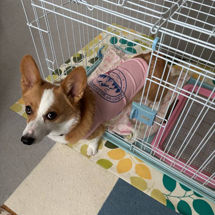 267497a4 0512 47b2 8bbc 01434a904af6 1756941011352