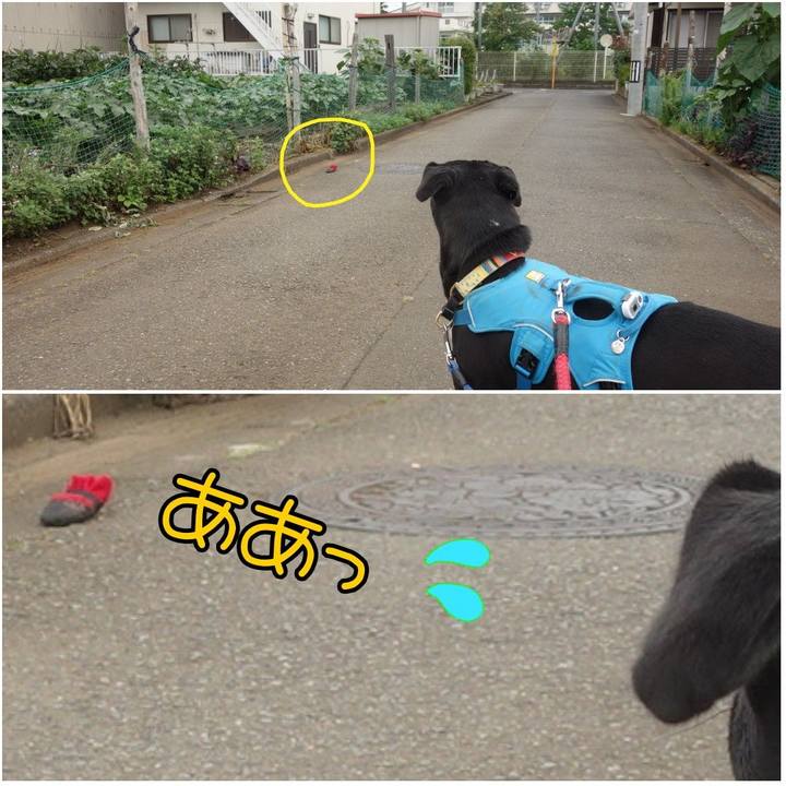 2674e85f 9f95 4b89 b110 656aa8305f4e 1624754331829