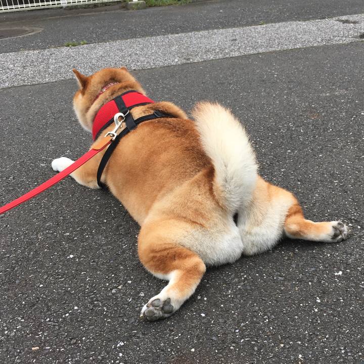 26750725 d02f 4546 a7ea 72268e977a25 1595312465618