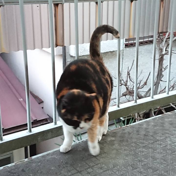 26755dd4 25f1 469d 96b0 80b6a35a1dd9 1643772482771