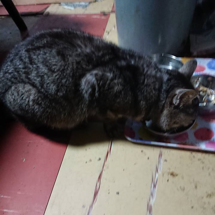 26756c3c 61ab 401d 9bc2 764a07971b16 1556655061613