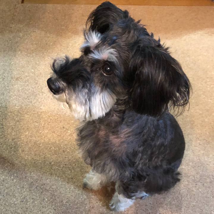 26757ba8 48b0 486f 8d72 fc81c98a4491 1672911629489