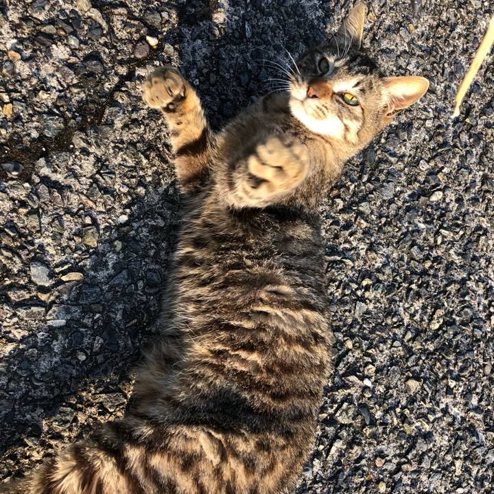 2675a7fe 8ea5 45c0 9a3a 426fc2be7bf0 1556787587863