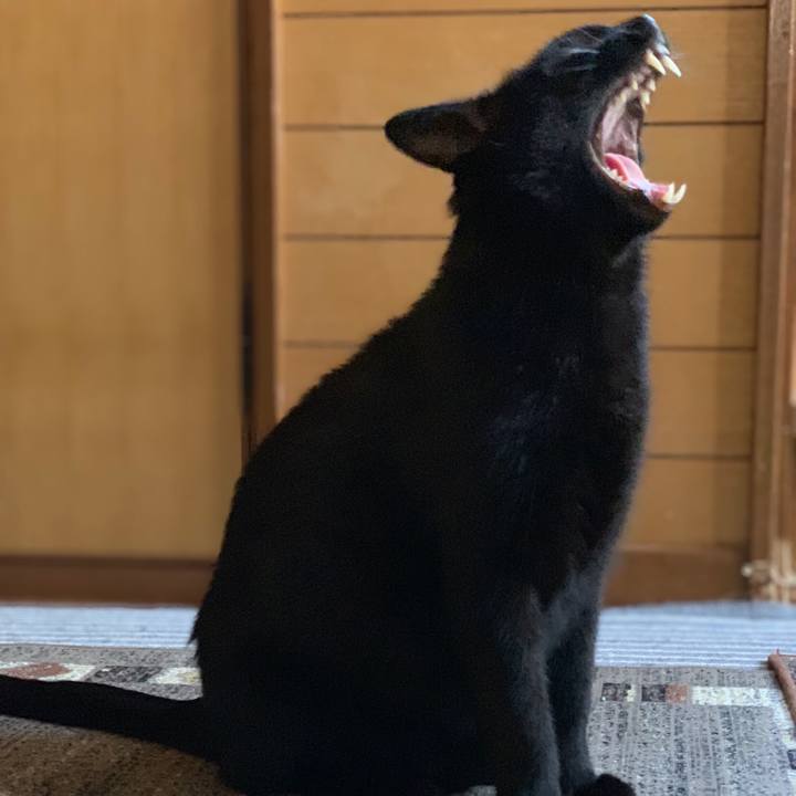 2675d2d9 0ad1 45cc bcc6 6b7081d7540c 1539652949510