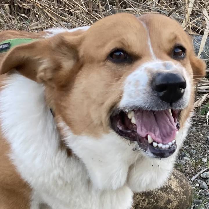 2675dc22 8f47 4f81 9550 e7afdf0e0400 1709953299807