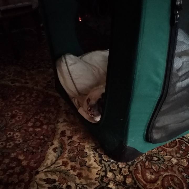 267620e9 7c16 485a 98e3 64975e752145 1559416441458