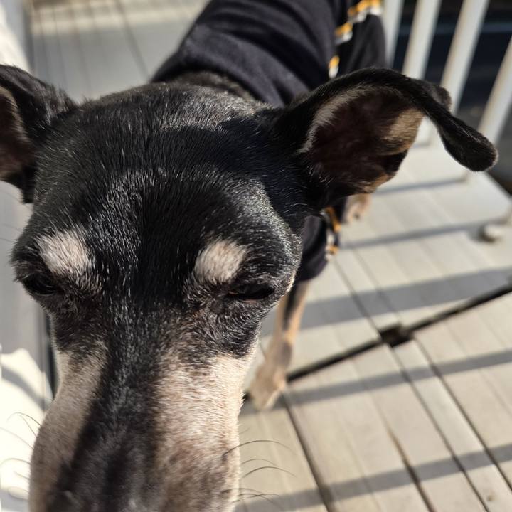 267638d7 ad83 4ba5 abfa aa5ef8052496 1763197244437