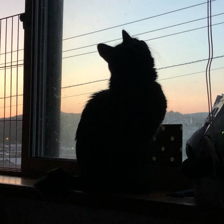 267647f8 e513 4c45 9a28 9485b68ff3a9 1562495971472