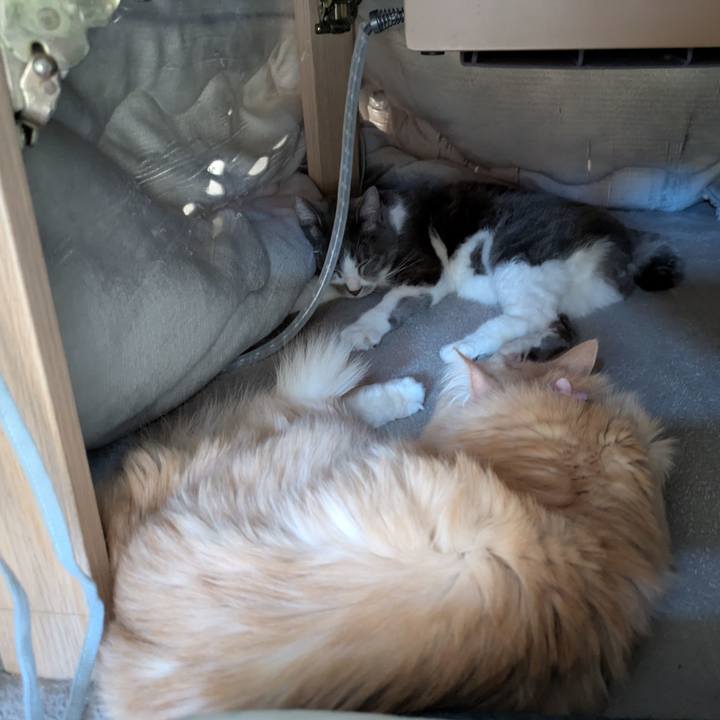 267686d3 c664 4d35 9706 41b6c903ee30 1767251834028