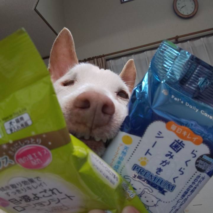 2676a700 a992 4052 8e1a 36f150d8871f 1595461990442