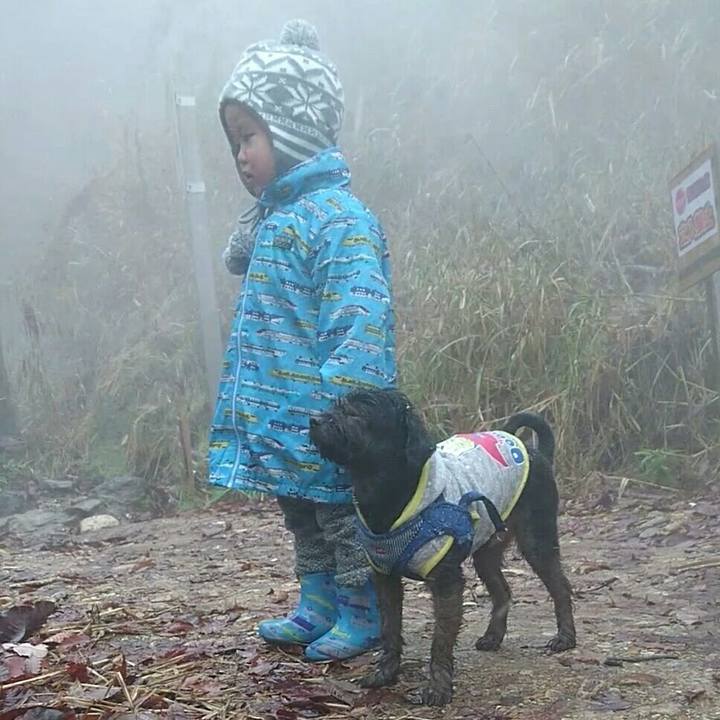 26772cfa 7a20 4d34 9bc0 12b6b241c3d9 1543066944286