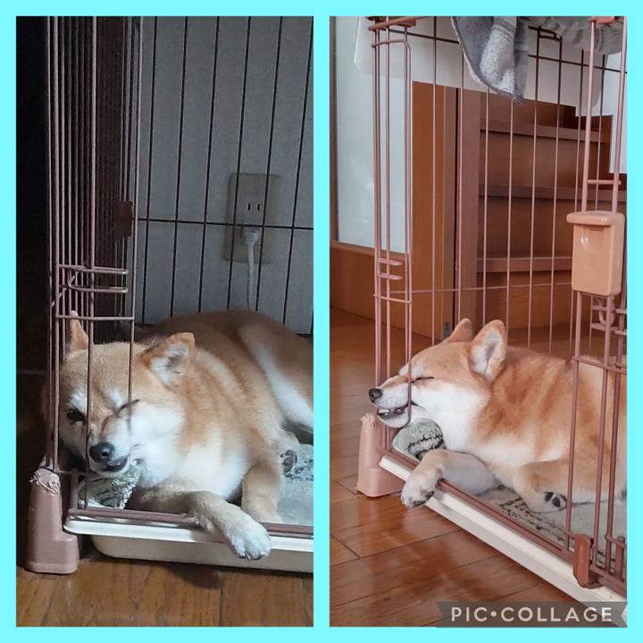 26774ce6 78fc 44e2 9dfe aa3de489f813 1743153036138