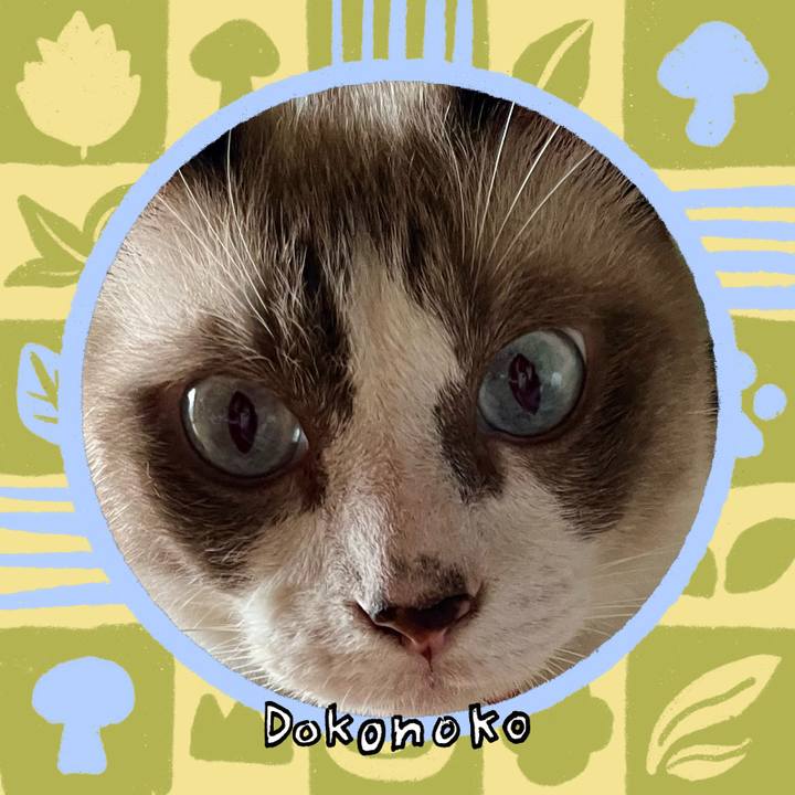 26775dfa c657 4a27 a26a 9c90481ce5c5 1762390279405