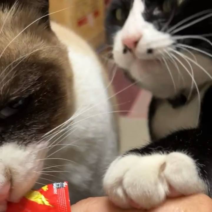 2677960d b61f 4556 9d95 6595488afe29 1735559387949