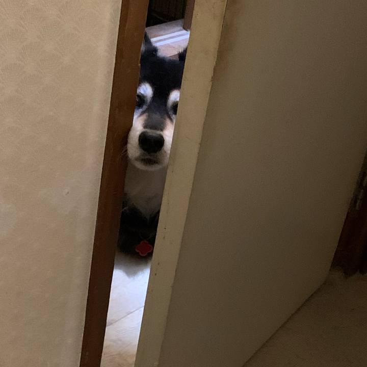 2677a37a 4269 49b1 b05d a86957233f70 1637376690722