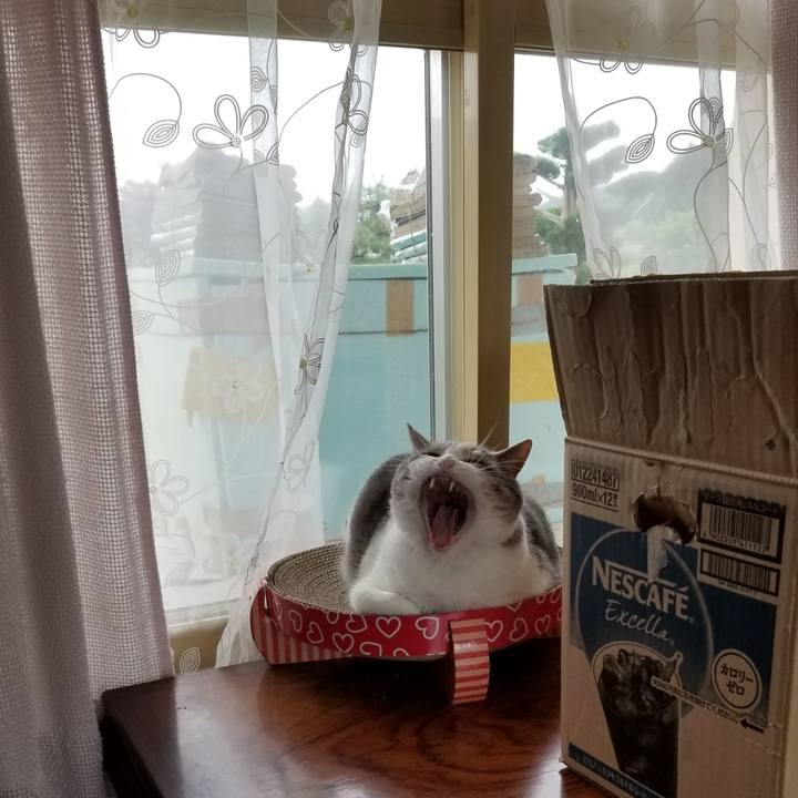 2677af19 9411 4cc0 863f 3f4ca34add38 1596616846908