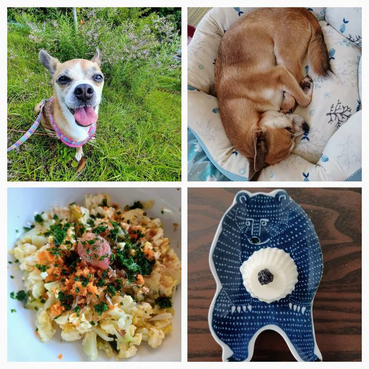 2677b97c 567d 400b a935 861a227e9265 1630137900399