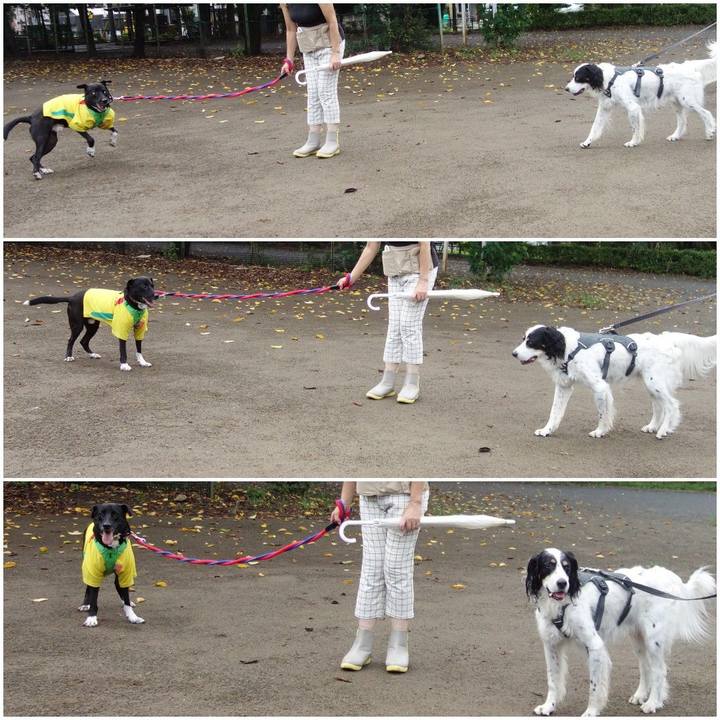 267850f8 bb26 4f89 a4b0 36e8c76a332b 1599433594312