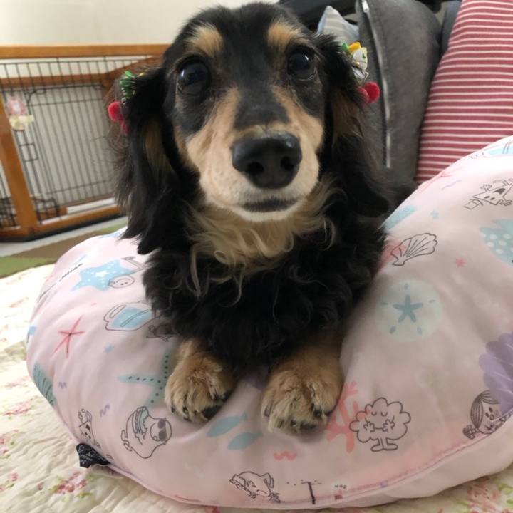 26787c52 3e35 4d90 924f 144767b210c0 1558571158957