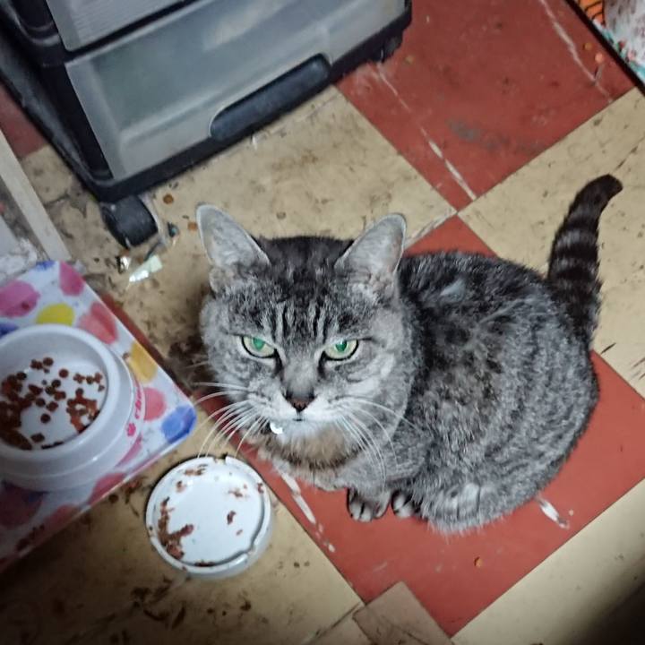 26788505 55bf 4ea7 bf7a 45fee9763398 1574195463542