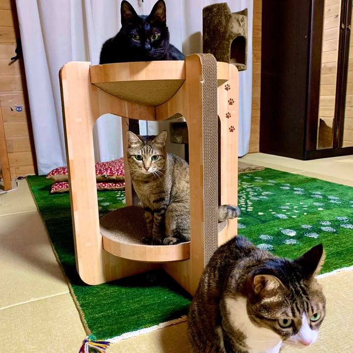 26789204 cd2f 4913 8e30 a3271d3b6d0e 1639742974527