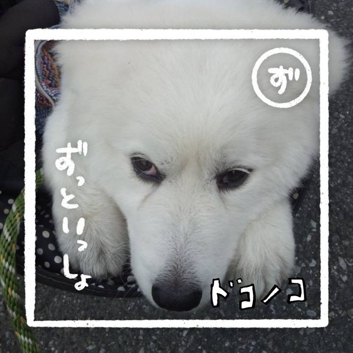 2678cc7f 4de9 4258 9c78 4303f3ec2ea2 1685938347992