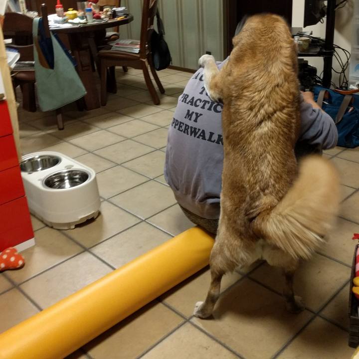 2678f093 175f 4655 a612 74aefb0e9d84 1522070970448