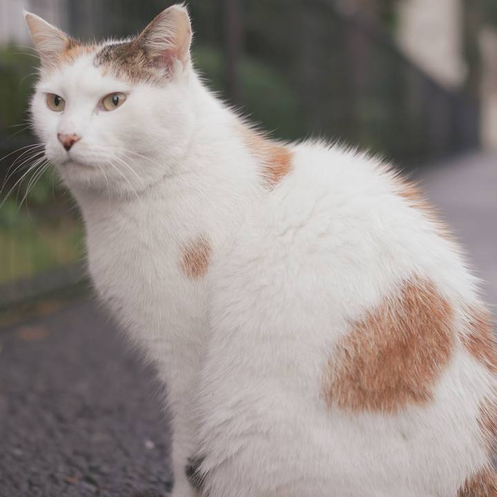 26790281 f978 4cf6 a6f1 06ff3d041282 1541489187314