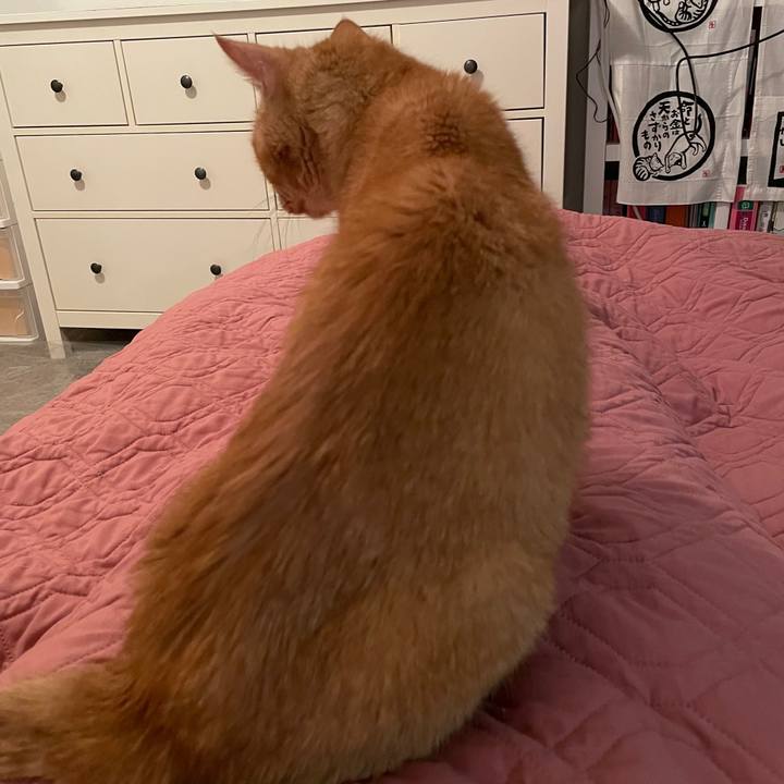 26794eef e27f 4839 9e35 8f098263c345 1769134215457