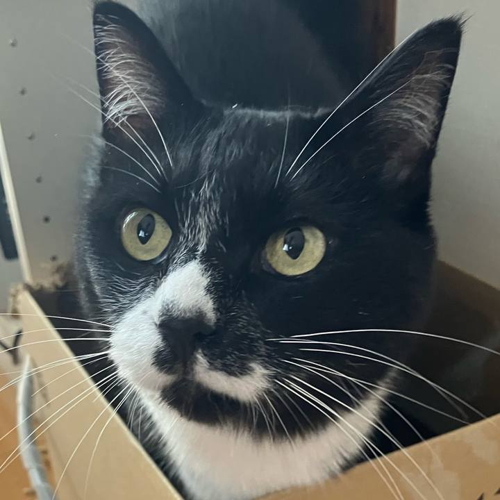 26794f5d cbac 419c 8d07 7f0e06668e0c 1761211132356