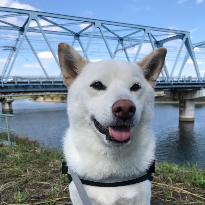 26799afe b89b 4482 9ff9 e7577f01605e 1540003414235