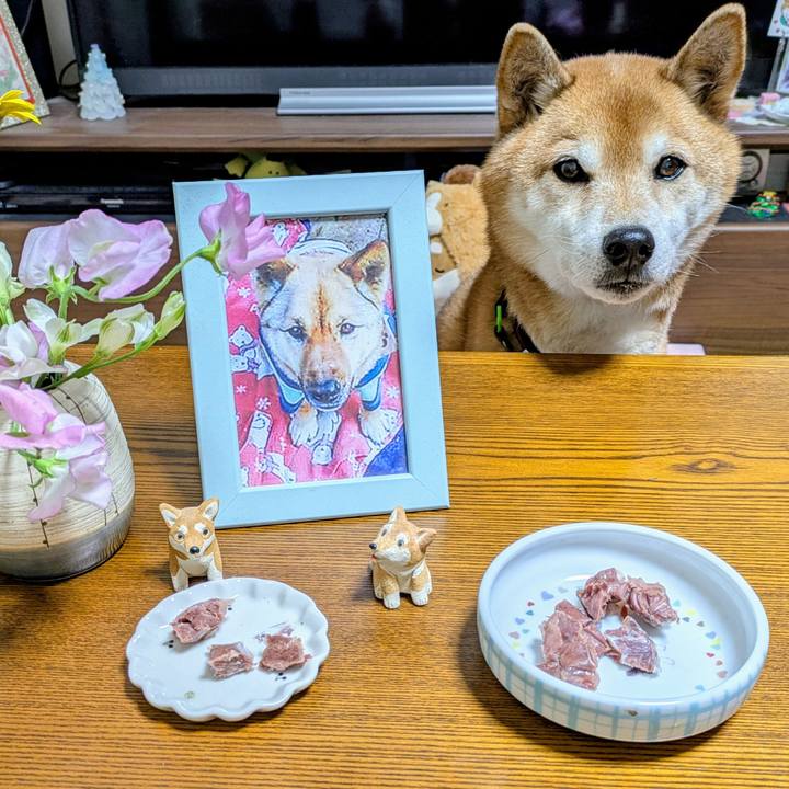 2679a8e9 2e94 49ec 9737 c5e6118a0375 1767859606882