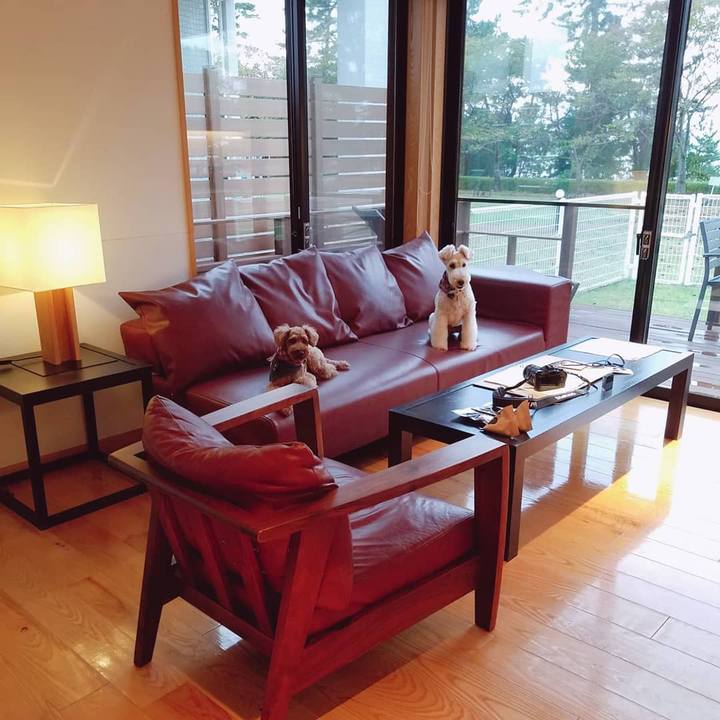 2679b2aa 51e9 4555 a927 05a584807bdc 1571401881409