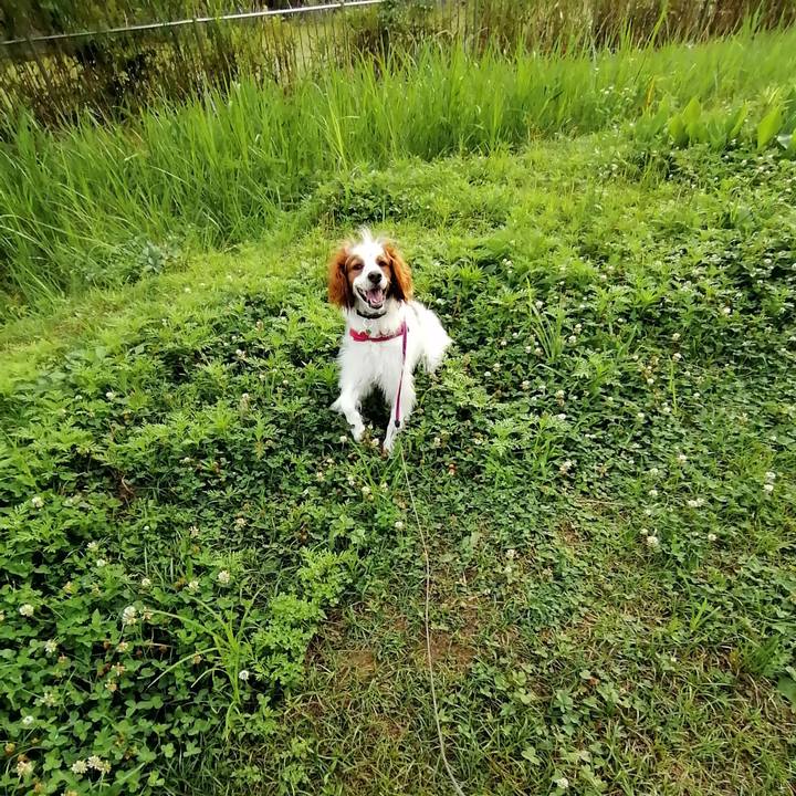 2679d20b e1d6 46a6 9dcb 5c533ea0ded6 1593075794055