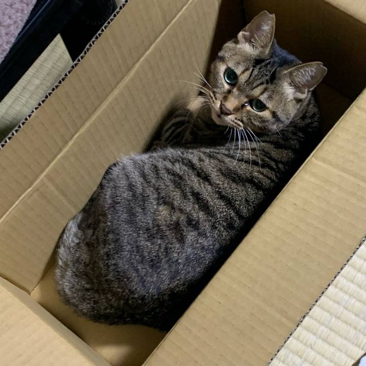 267a0887 9483 4f85 af0f d6a27fa075e8 1603886192805