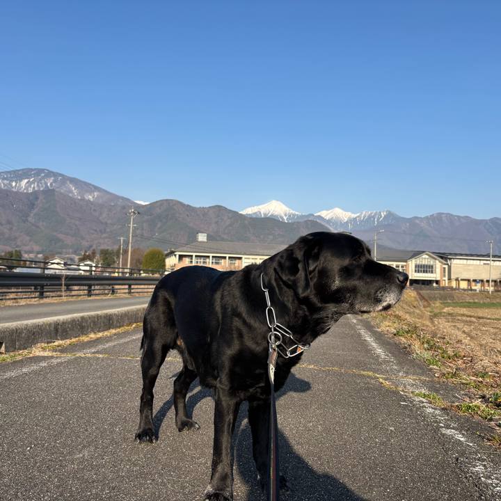 267a1e1c 13b0 45b9 99c5 4f2274bee7b1 1774093469736