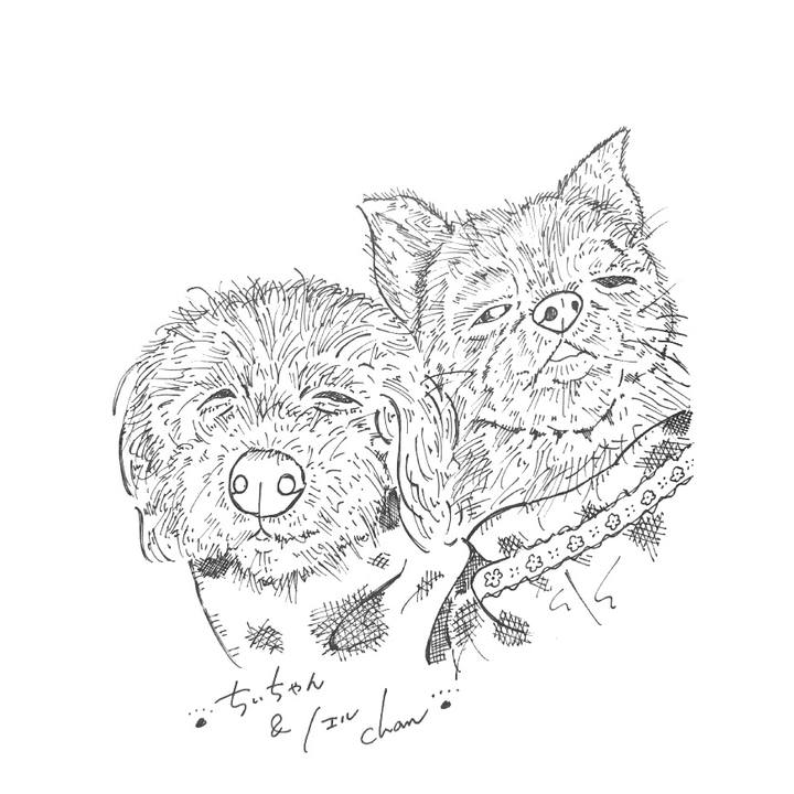 267a22cb 9b6c 40e1 8b7b 534296f8c24f 1585156693876