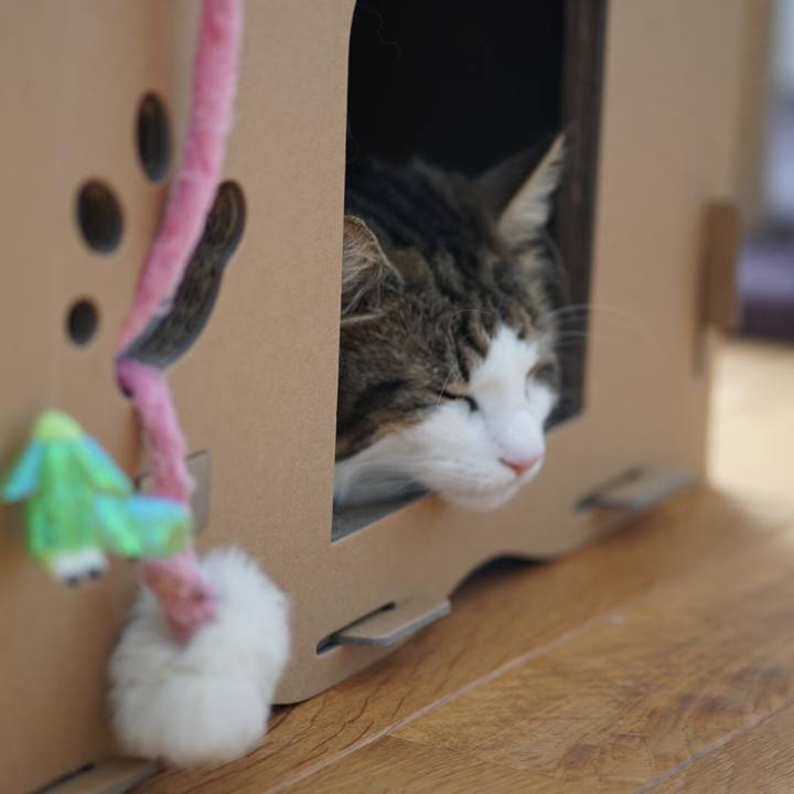 267a4b05 0360 4e91 99a6 902c0a4352b2 1569383655344