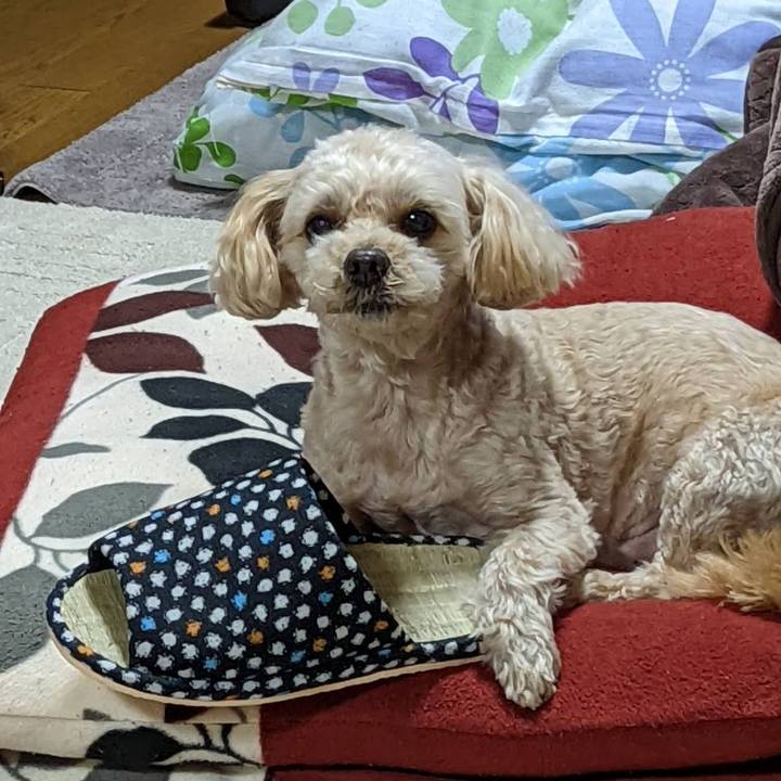 267a6c33 c9a8 43dd b82b a1ab4967f2bd 1643198562146