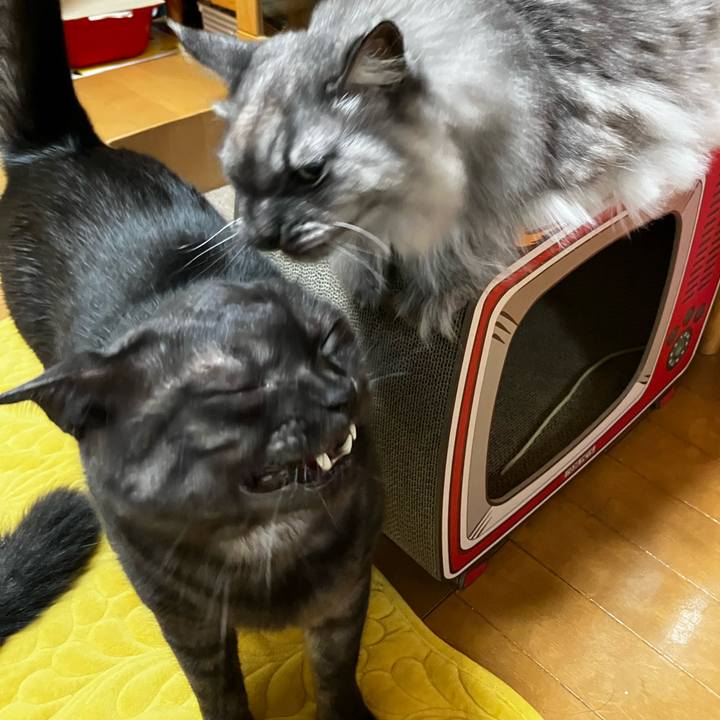 267ac6fc a46b 471b 8659 f421ce58e2d1 1740011695878