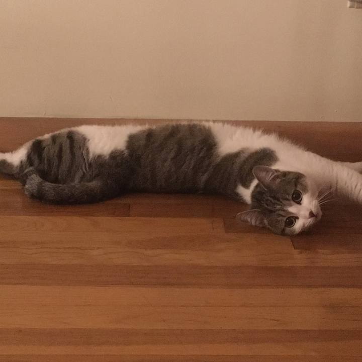 267adc5a b5da 4c45 bc3a 5abce566be46 1633049334841