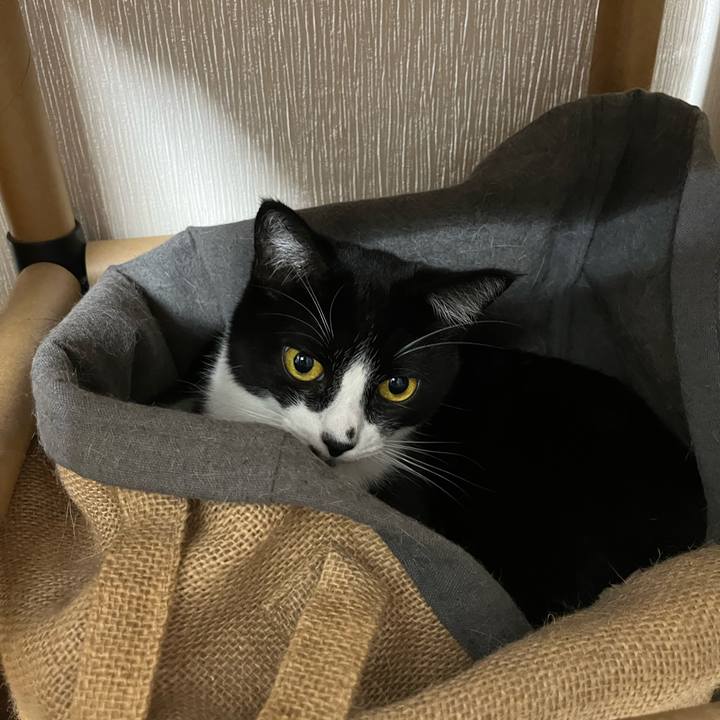 267aee46 f79d 4ccd a271 012a793b004a 1698322355957