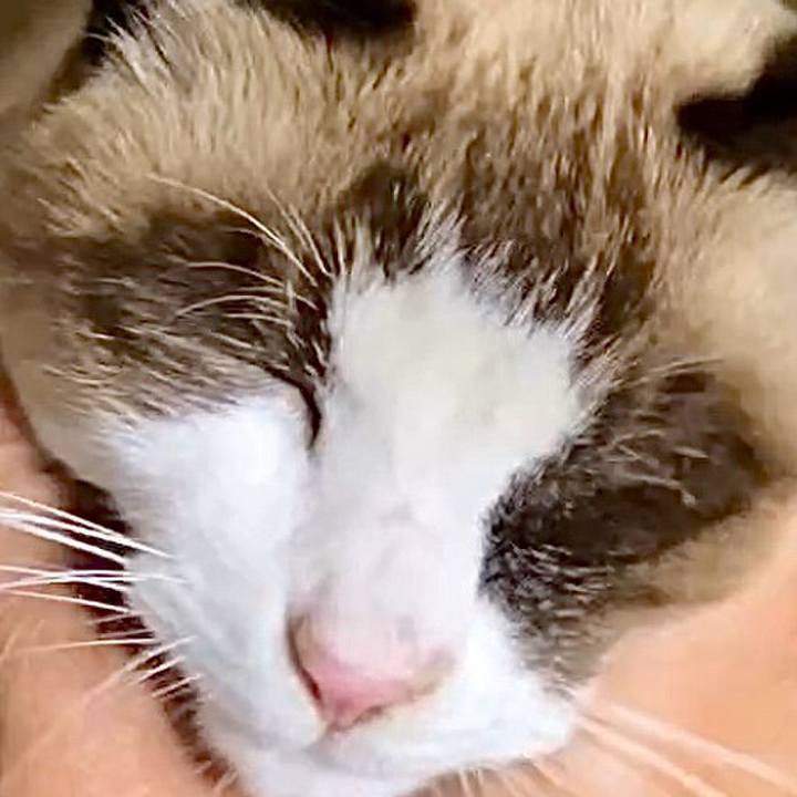 267b509c 7780 4d48 88a5 ccfcc761caab 1732857628915