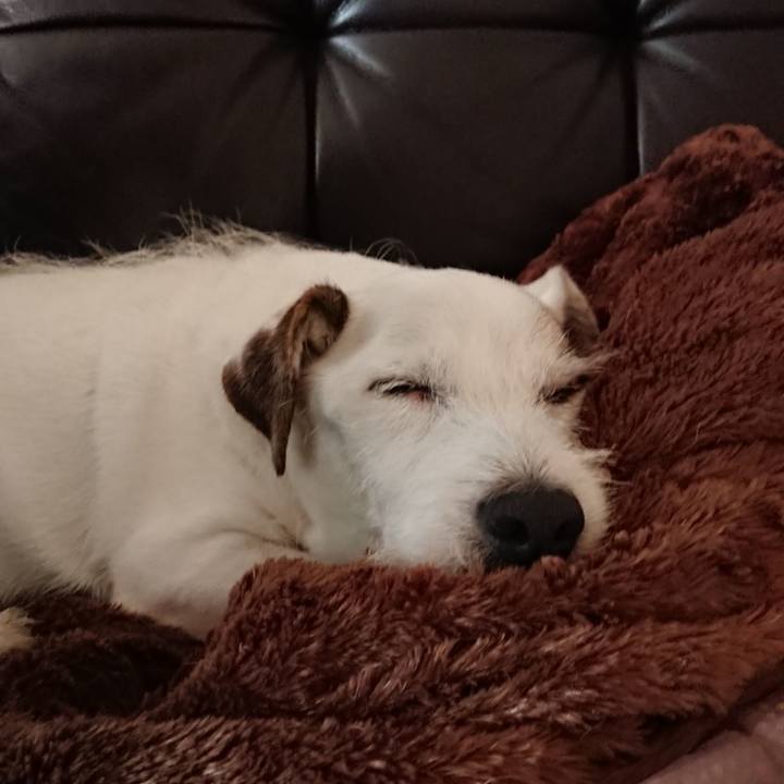 267b7350 5767 4540 b48e d3e5e1f2ae6e 1571613991062