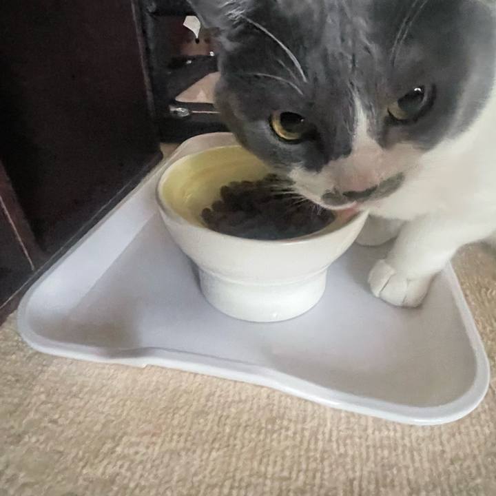 267b7449 fbc0 4837 ae38 28935a0b5483 1667266880769