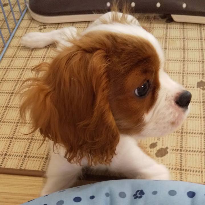 267b7a7c 4752 47de b218 5a5c60ac24de 1568503025722