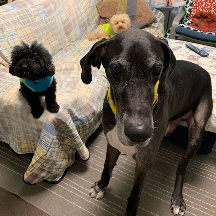 267b7d7a faa2 4a59 914e ec43be6366c5 1567980137851