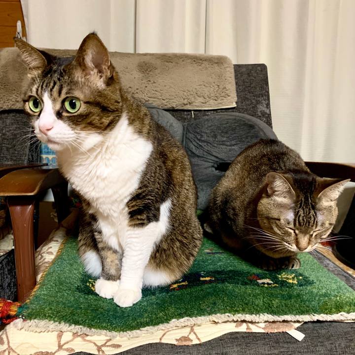 267baff5 c3ee 4389 b462 0cc0ffd84109 1581168905028